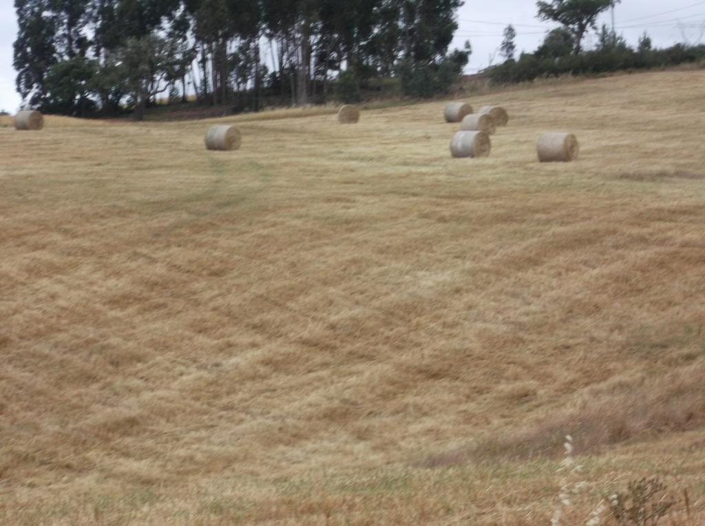 Courela Do Salgueiro Βίλα Carocha Δωμάτιο φωτογραφία